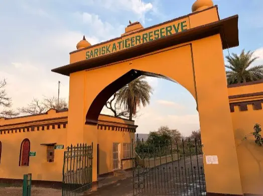 Sariska Tiger Jungle Safari
